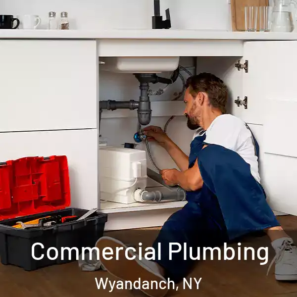  Commercial Plumbing Wyandanch, NY