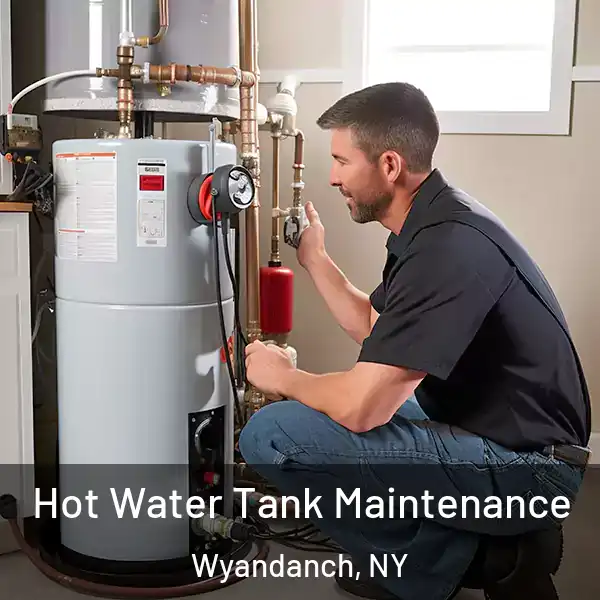  Hot Water Tank Maintenance Wyandanch, NY