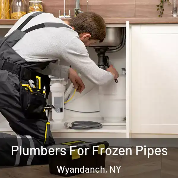  Plumbers For Frozen Pipes Wyandanch, NY